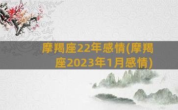 摩羯座22年感情(摩羯座2023年1月感情)