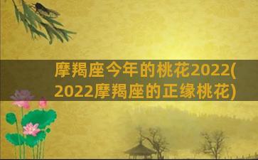 摩羯座今年的桃花2022(2022摩羯座的正缘桃花)