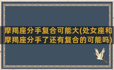 摩羯座分手复合可能大(处女座和摩羯座分手了还有复合的可能吗)