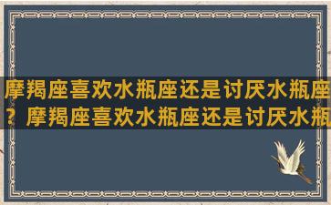 摩羯座喜欢水瓶座还是讨厌水瓶座？摩羯座喜欢水瓶座还是讨厌水瓶座女生