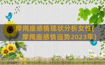 摩羯座感情现状分析女性(摩羯座感情运势2023年)