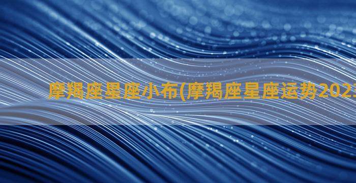 摩羯座星座小布(摩羯座星座运势2023年运程)