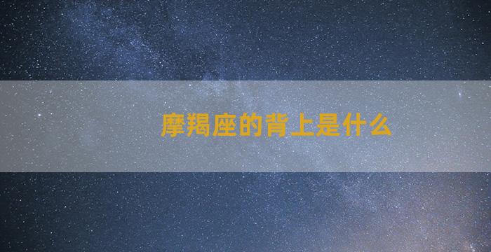 摩羯座的背上是什么