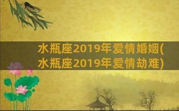 水瓶座2019年爱情婚姻(水瓶座2019年爱情劫难)