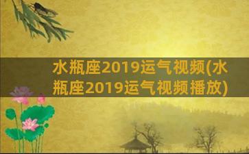 水瓶座2019运气视频(水瓶座2019运气视频播放)