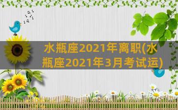 水瓶座2021年离职(水瓶座2021年3月考试运)