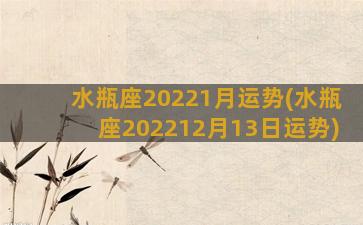 水瓶座20221月运势(水瓶座202212月13日运势)