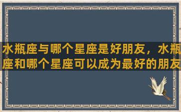 水瓶座与哪个星座是好朋友，水瓶座和哪个星座可以成为最好的朋友