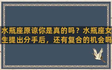 水瓶座原谅你是真的吗？水瓶座女生提出分手后，还有复合的机会吗