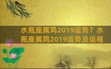 水瓶座属鸡2019运势？水瓶座属鸡2019运势及运程