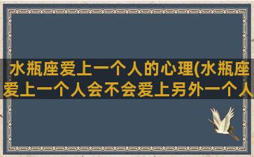 水瓶座爱上一个人的心理(水瓶座爱上一个人会不会爱上另外一个人)