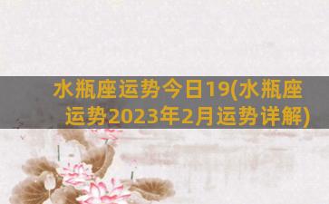 水瓶座运势今日19(水瓶座运势2023年2月运势详解)