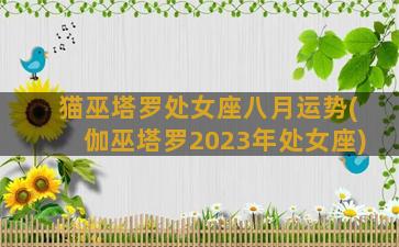 猫巫塔罗处女座八月运势(伽巫塔罗2023年处女座)