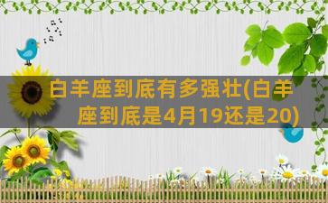 白羊座到底有多强壮(白羊座到底是4月19还是20)