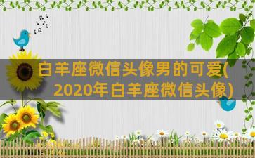 白羊座微信头像男的可爱(2020年白羊座微信头像)