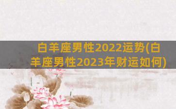 白羊座男性2022运势(白羊座男性2023年财运如何)