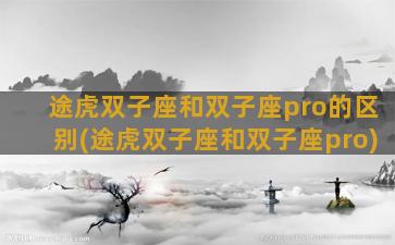 途虎双子座和双子座pro的区别(途虎双子座和双子座pro)