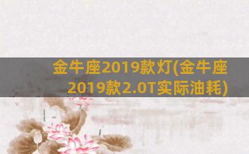 金牛座2019款灯(金牛座2019款2.0T实际油耗)