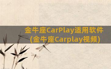 金牛座CarPlay适用软件(金牛座Carplay视频)