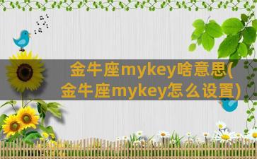 金牛座mykey啥意思(金牛座mykey怎么设置)