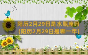 阳历2月29日是水瓶座吗(阳历2月29日是哪一年)