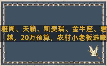 雅阁、天籁、凯美瑞、金牛座、君越，20万预算，农村小老板选哪款比较好